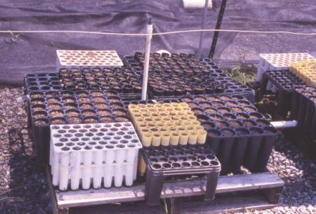 AWC Container Experiment at Goldsboro