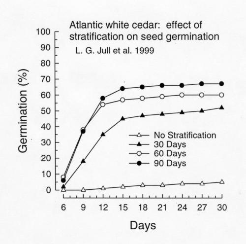 AWC stratification graph