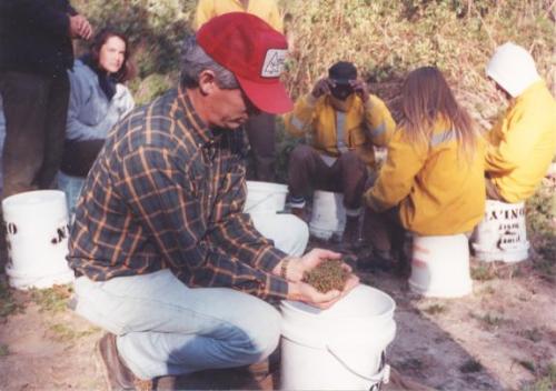 Crew collecting AWC seeds on Aliigator River NWR