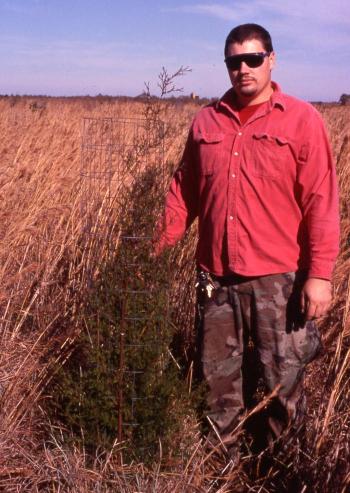 Wire Cage at PLNWR ( Scott Derby - NCSU )