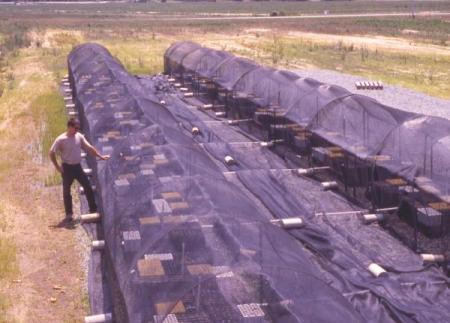 Shaded AWC Plots at Goldsboro (Jeff Parkhurst - NCFS)